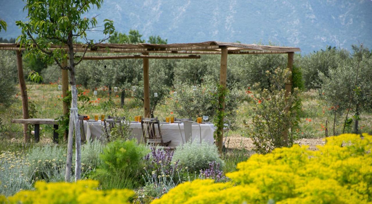 Ferme Oleicole Les Callis Gordes Luaran gambar