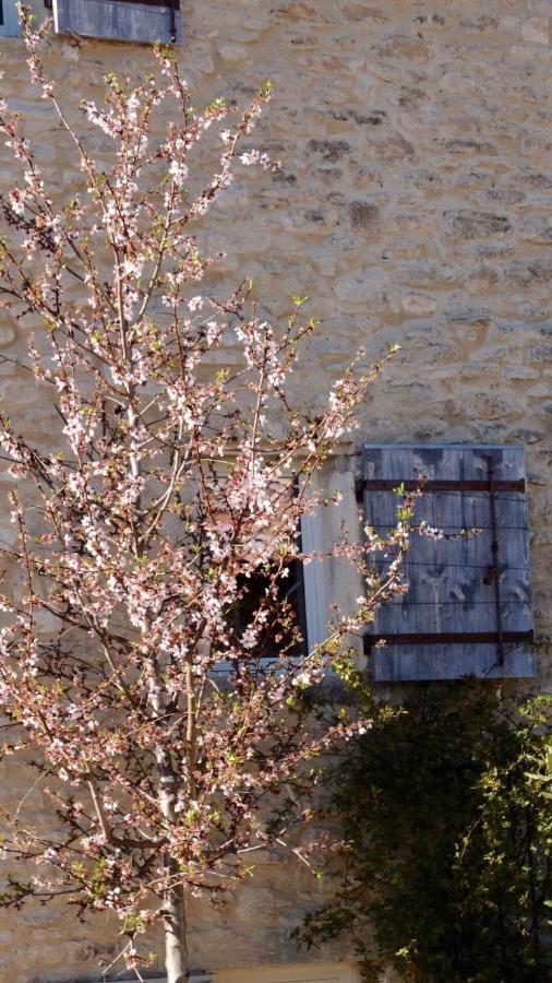 Ferme Oleicole Les Callis Gordes Luaran gambar
